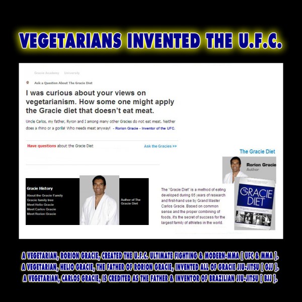 A Vegetarian Invented the UFC MMA BJJ Ultimate Fighting Brazilian JiuJitsu Gracie Barra - Gracie Diet - Not Paleo Lowcarb Crossfit Fad Scam - 8