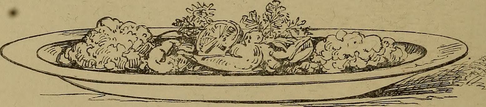 Image from page 206 of "Diet in illness and convalescence" (1899)